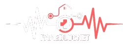 fameblognet.com