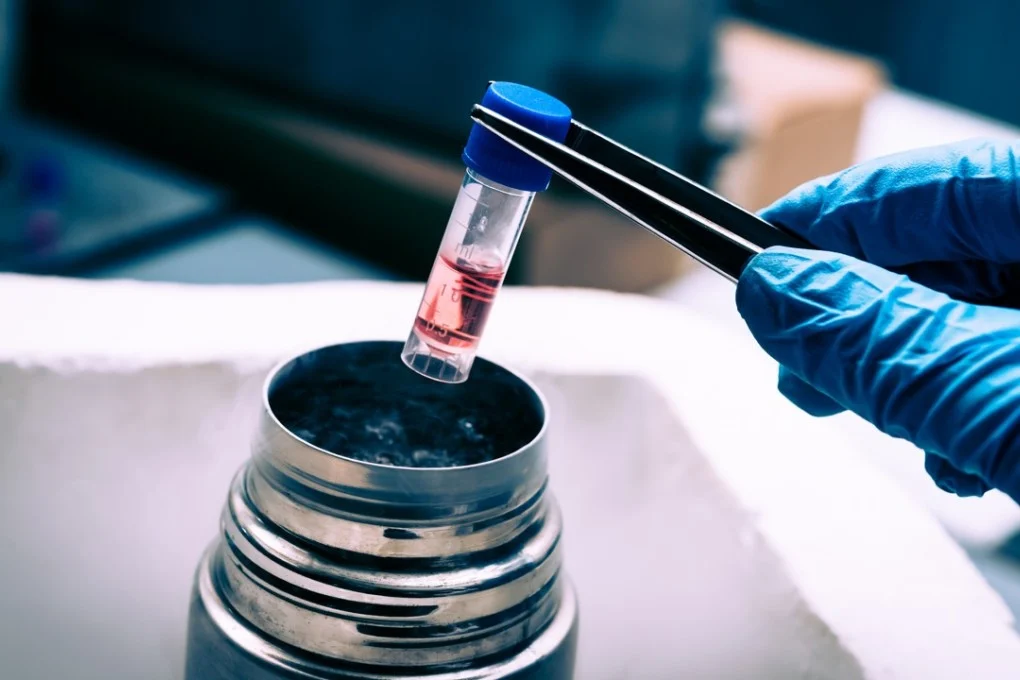 The Science Behind Stem Cell Therapy and Its Applications