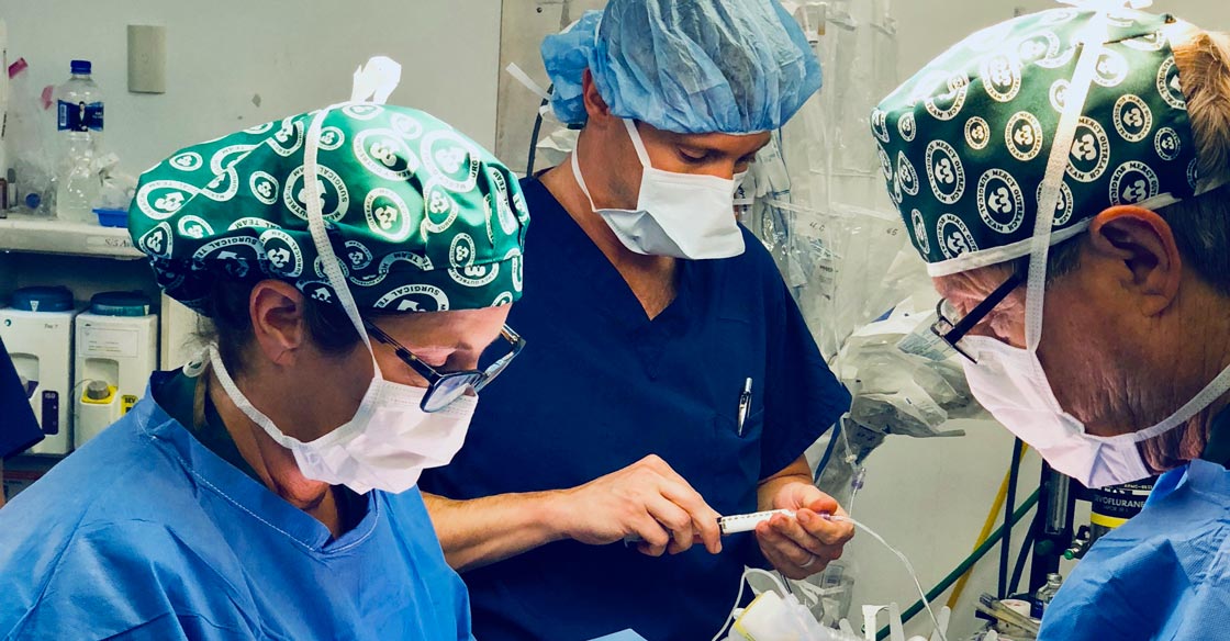 How Neurological Surgeons Collaborate with Other Specialists