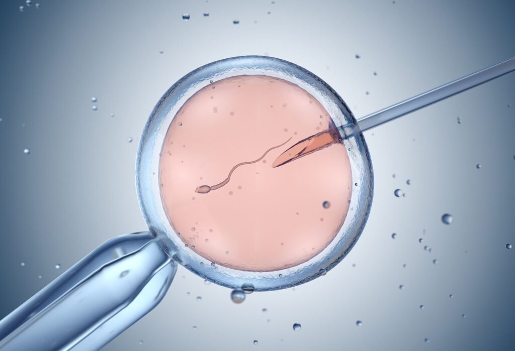 How to Prepare for Your First In Vitro Fertilization Cycle