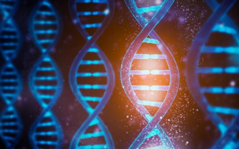 The Benefits of Genetic Counseling in Understanding Risks